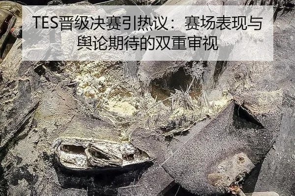 TES晋级决赛引热议：赛场表现与舆论期待的双重审视